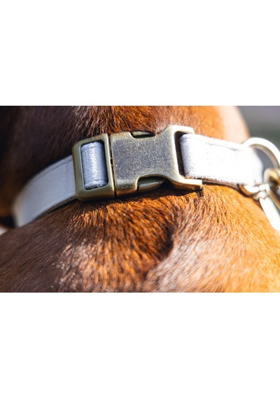 Hnrlıshp Beeztees Dbl Köpek Tasması, Kadife, Gri, 48-70cm, 25mm Çok Renkli