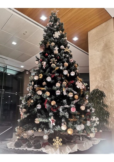 Yılbaşı Çam Ağacı 3 Metre 1750 Dal