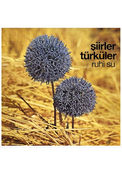 Ruhi Su - Şiirler Türküler Plak