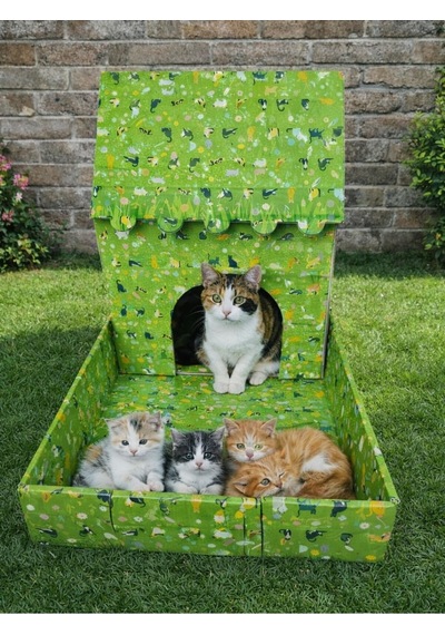 Kedi Evi Karton Baskılı Ve Bahçeli Genişlik 35cm Uzunluk 48cm Derinlik 58cm