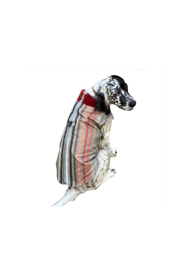 Kemique Stripe Orta ve Büyük Irklar için Köpek Ceketi
