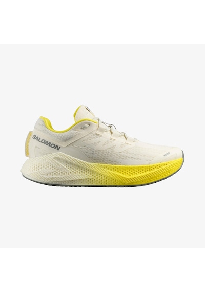 Salomon Aero Glıde 3 Erkek Koşu Ayakkabısı Vanilla Ice L47975900 Krem