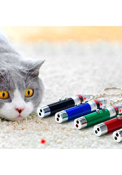 Ankaverse 3'ü 1 Arada Led Lazer Kedi Köpek Oyuncağı Anahtarlık