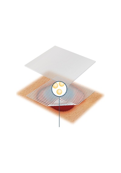 LR Lomatuell Pro 30871 Jel Formlu Tül Örtü 10 x 10 CM