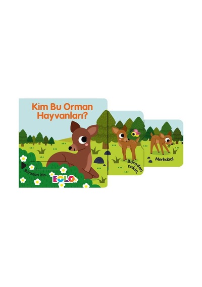 Eolo Kim Bu Orman Hayvanları