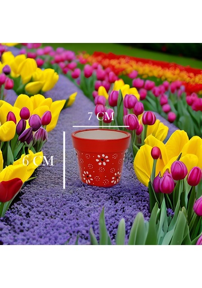 Dekoratif Mini Seramik Skulent Saksı Papatya Desen 12 Parça 7cm