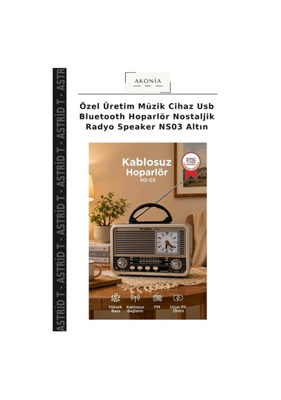 Özel Üretim Müzik Cihaz Usb Bluetooth Hoparlör Nostaljik Radyo Speaker Ns03 Altın