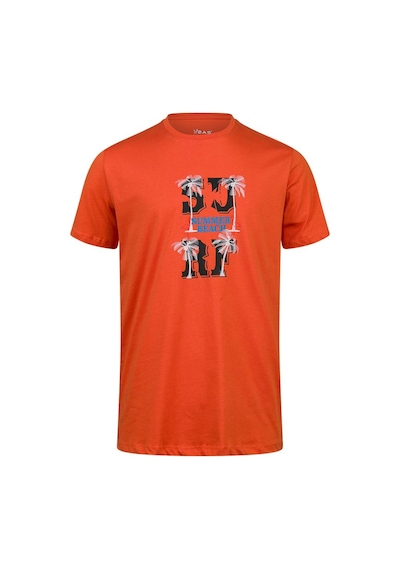 2as Alex Baskılı Erkek Sıfır Yaka T-shirt 047 TURUNCU