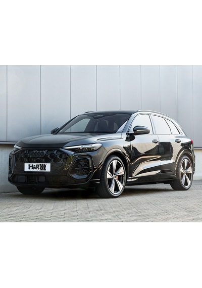Audi Sq5 Quattro 3.0 Tfsi 2025- Sonrası H&r Spor Yay -45mm