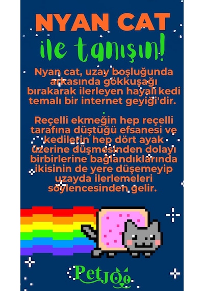 Petjoo 2.Nyan Cat Yeşil-Turuncu Qr'lı Kedi Künyesi