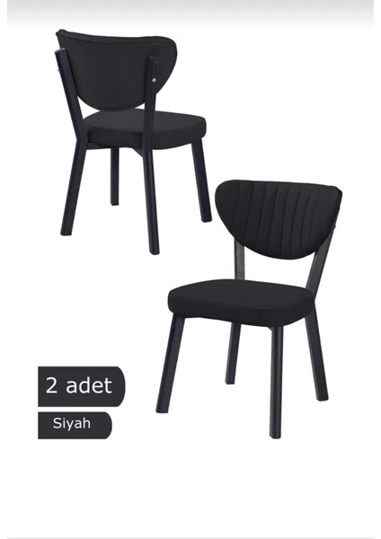 2 Adet Elma Mutfak Sandalyesi Yemek Odası Bahçe Balkon Otel Restoran Kafe Sandalyesi Siyah