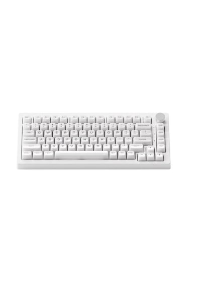 Akko 5075B Plus Shine-Through RGB Kablosuz Mekanik Oyuncu Klavye