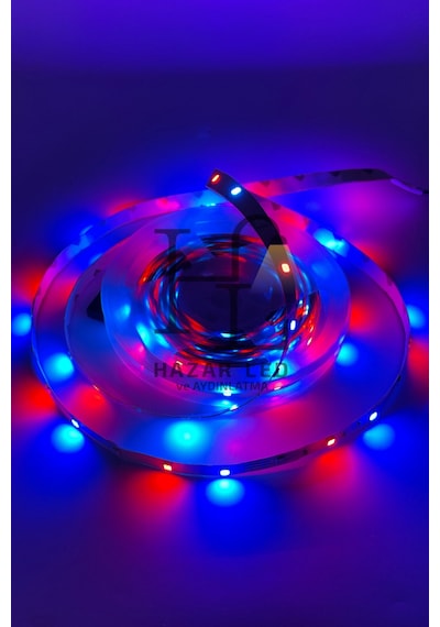 12 Volt 5 Metre 3528 Tek Çipli Rgb İç Mekan Ip20 Şerit Led Set