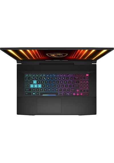 MSI KATANA 17 HX B14WGK-285XTR i7-14650HX 16 GB 1 TB SSD RTX5070 17.3" Dos Dizüstü Bilgisayar 