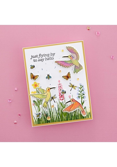 Papercrafts, Inc Clear Acyrlic Stamps By Bibi Cameron-hummingbird Sentiments