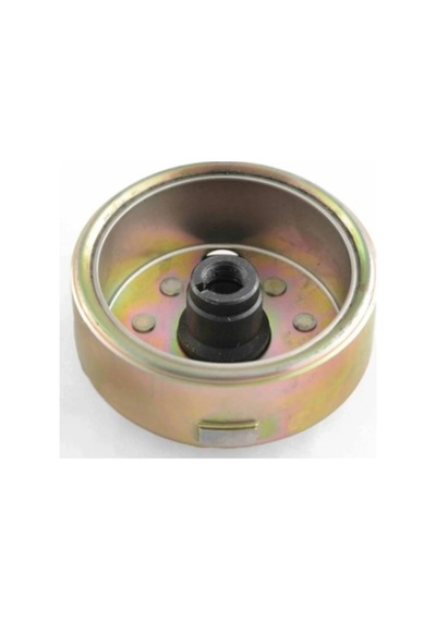 Cg Rotor 4 Bobinli