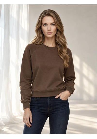 Nealirsanall.com Kadın Bisiklet Yaka Raglan Kol Basic Crop Sweatshirt Kahverengi