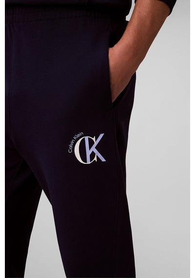 Calvin Klein Jeans Erkek Eşofman Altı Lv04re256g Mor