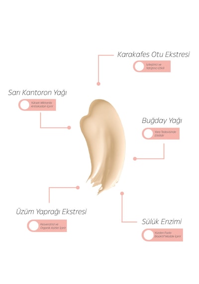 Skin Care Cream Yara Bakım