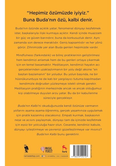 Buda'nın Kalbi - Zihinsel Ve Sezgisel Bir Uyanış Rehberi