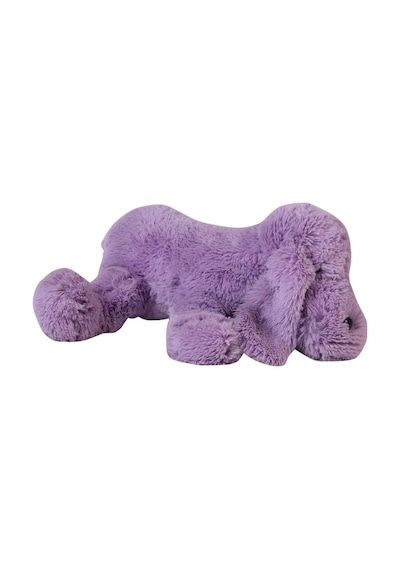 Aylak Köpek 35 Cm