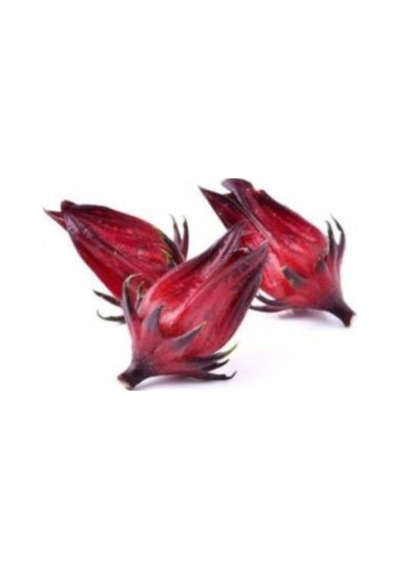 Ithal Hibiscus Tohumu Ekim Seti