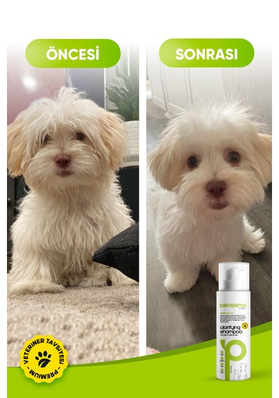 Petissimo Care Arındırıcı Köpek Şampuanı - Pire Ve Parazit Karşıtı - 200 Ml