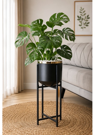 Bitkidunyam Mat Ayaklı Saksı, Metal, Altın Detaylı Kenar, Modern Minimalist Stil, İç Mekan, 52x21 Cm No:4 Siyah