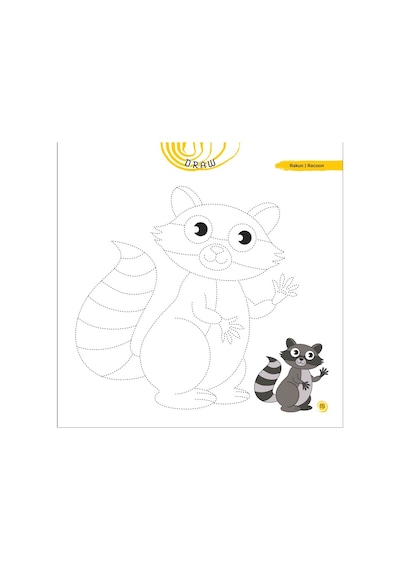 5+ Yaş Seti / Iq Dikkat Ve Yetenek Geliştiren Kitaplar
