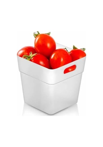 Ayrex 6'li Buzdolabı Kapak İçi Düzenleyici Organizer Buzdolabı Ve Banyo Organizeri 6 Adet Diğer