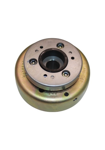 Manyeto Volan Rotor SYM Joyride 200i EVO HD 200 Uyumlu