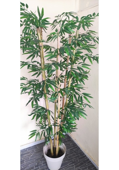 Rüzgar Çiçekcilik 170 Cm 6 Gövdeli Bambu Yeşil