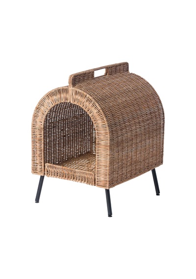 Utsadd Kedi Evi, Rattan
