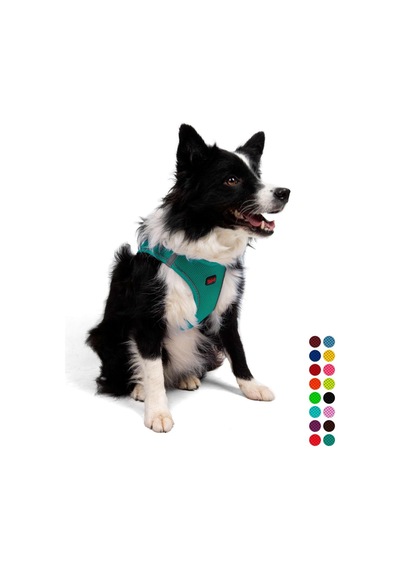 Tailpetz Air-mesh Küçük Ve Orta Irk Kedi Köpek Göğüs Tasması - Yumuşak, Nefes Alabilir, Dayanıklı Emerald, Xlarge Sku: Zeusb08vx3ycjb Açık Bej - Bej Tailpetz Air-mesh Küçük Ve Orta Irk Kedi Köpek Göğüs Tasması - Yumuşak, Nefes Alabilir, Dayanıklı Emerald, Xlarge Sku: Zeusb08vx3ycjb Açık Bej - Bej