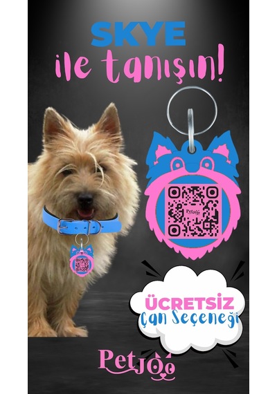 Petjoo 6.Skye Pembe-Mavi Qr'lı Köpek Künyesi