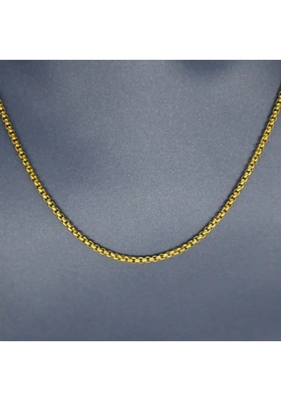 Hedea 2 Mm Gold Kadın Çelik Kolye 60 Cm Gold