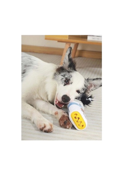 M-pets Flora Snack Attack Ödül Konulabilen Köpek Oyuncağı