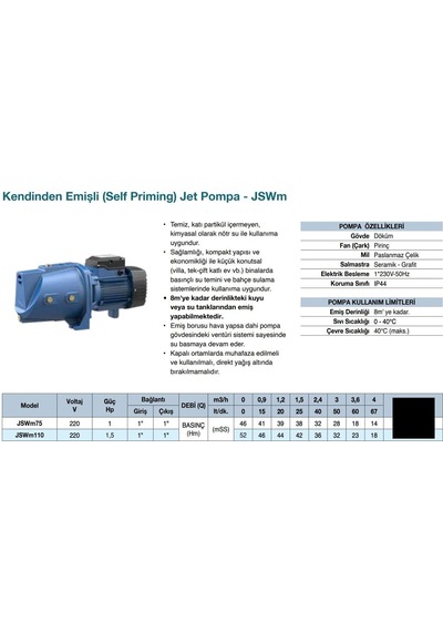 Grandfar Jswm110 Jet Pompa 1,5 Hp - Pirinç Çarklı