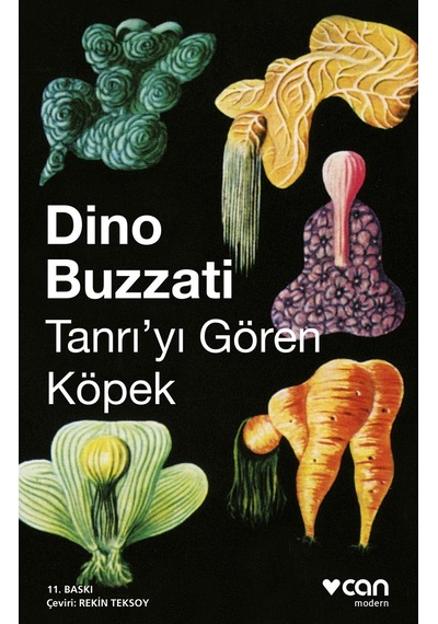 Tanrı'Yı Gören Köpek - Dino Buzzati -  Can Yayınları