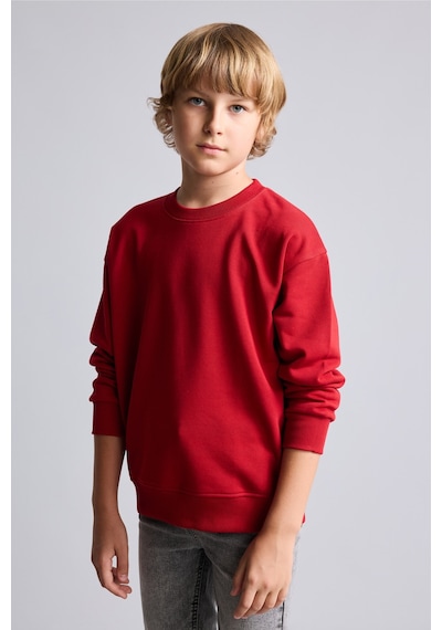 Defacto Bisiklet Yaka İçi Yumuşak Tüylü Basic Sweatshirt Erkek Çocuk I1419a826wnbr244 Kırmızı-br244