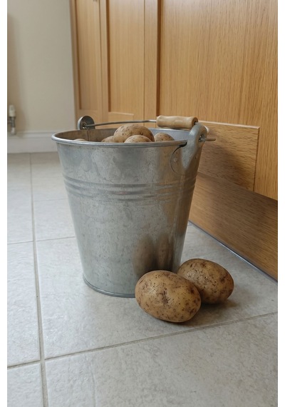 Metal Dekoratif Kova 4 Litre - 21 Cm Çok Amaçlı Saplı Galvaniz Saksılık Ve Düzenleyici Renksiz