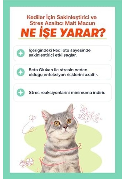 Biofeline Rahatlatıcı Macun 100g Ve Kediler İçin Günlük Strese Karşı Rahatlık Sağlayan Sakinleştirici Macun 3 Paketi