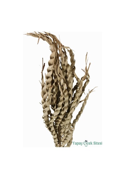 Yapay Çiçek Sitesi Kuru Çiçek Doğal Yılan Örgü Palm Snake Stems 75 Cm 5li Naturel