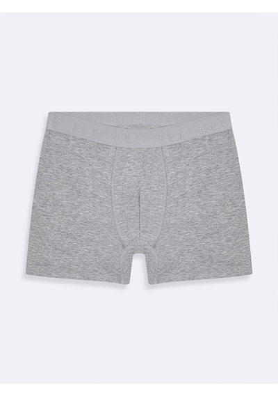 Ltb Gri Boxer 012259031561674 2523 Gri