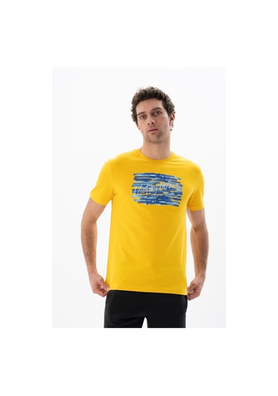 AR-MA Arma Erkek Regular Fit Bisiklet Yaka Tişört Y25344403001 Sarı
