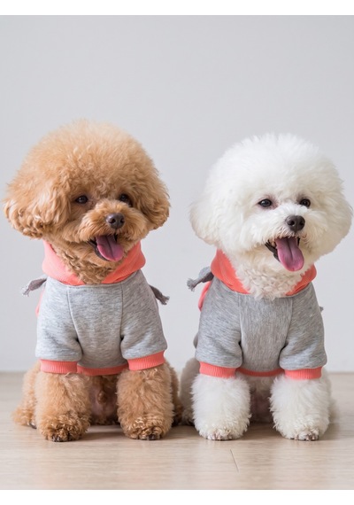 Rainbow Köpek Sweatshirt Kapüşonlu Gökkuşağı Detaylı Köpek Kıyafeti Köpek Hoodie