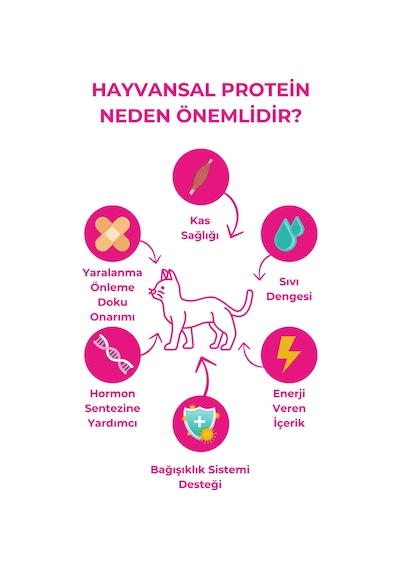 Herbamax Sterilised Kısırlaştırılmış Somonlu ve Pirinçli Yetişkin Kedi Maması 10 KG