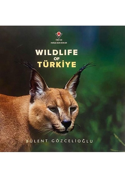 Wıldlıfe Of Türkiye - Ybve-665528