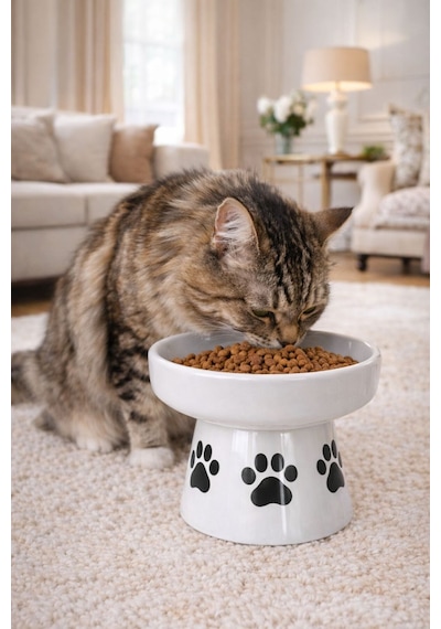 Nitrudesign Ayaklı Seramik Kedi Köpek Mama Ve Su Kabı 400 Ml
