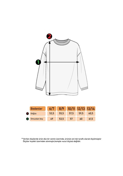 Toontoy Kız Çocuk Baskılı Balıkçı Yaka Sweatshirt Gri